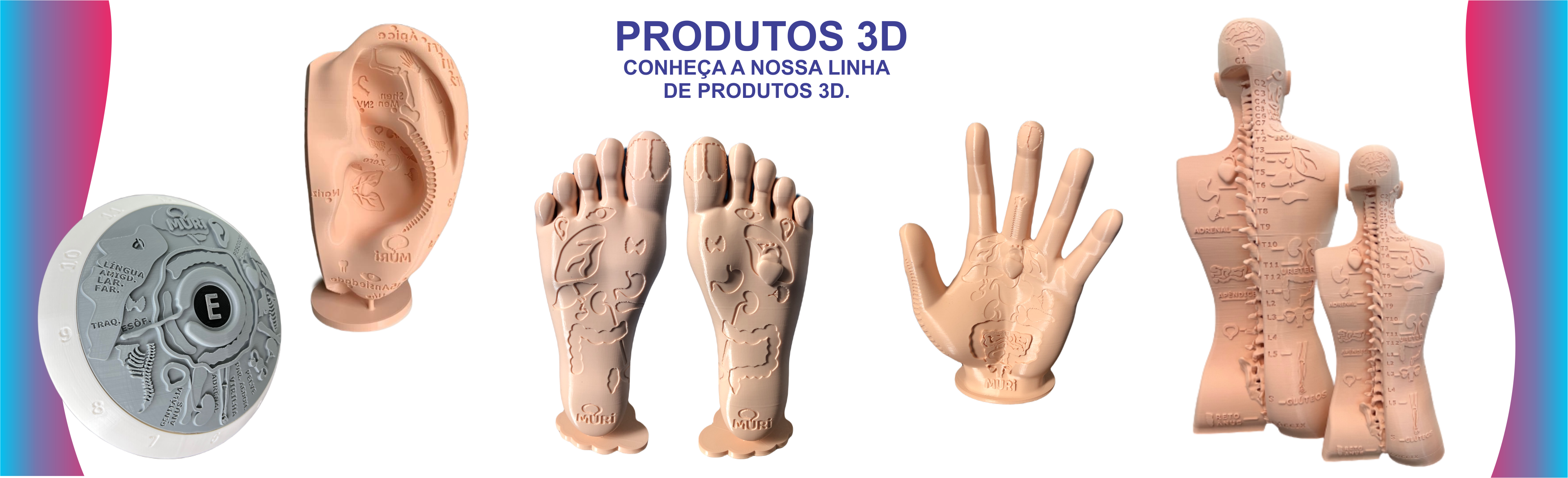 NOVIDADE: PRODUTOS 3D COM PRINCIPAIS ÓRGÃO EM RELEVO